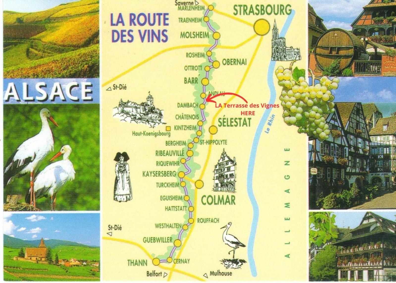 La Terasse Des Vignes - Maison 2 Chambres - 4 Personnes Blienschwiller Extérieur photo